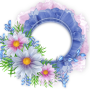 icon Spring Frames