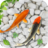 icon Fish Live Wallpaper 4.5
