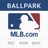 icon Ballpark 6.5.0