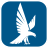 icon Falcon 4.3.8
