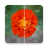 icon Video quality enhancer & editor 6.0