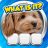 icon Flags Quiz 2.0.1