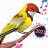 icon Birds Ringtones 1.9.9