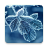 icon Winter Wallpapers 4.0.winter