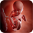 icon PregnancyFetus growth 1.009