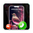 icon Phone Caller Themes 1.73