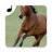 icon Horse sounds 1.14
