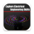 icon Explore Electrical Engineering Skills 15.0