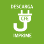 icon Consulta CFE