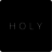 icon HOLY AG 3.8.2