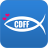 icon CDFF 15.6