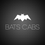 icon BATS CABS