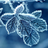 icon Winter Wallpapers 10.21.1002