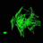 icon StereoBullet 1.9.0