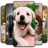 icon Puppy Wallpaper 3.0.8