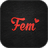 icon Fem 5.0.6