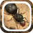 icon The Ants Underground Kingdom Beginner Guide 1.0.0
