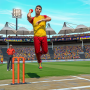 icon Cricket Game 3D Bat Ball Game